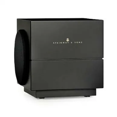 Сабвуфер Steinway Lyngdorf S-210 Boundary Woofer (matte black)